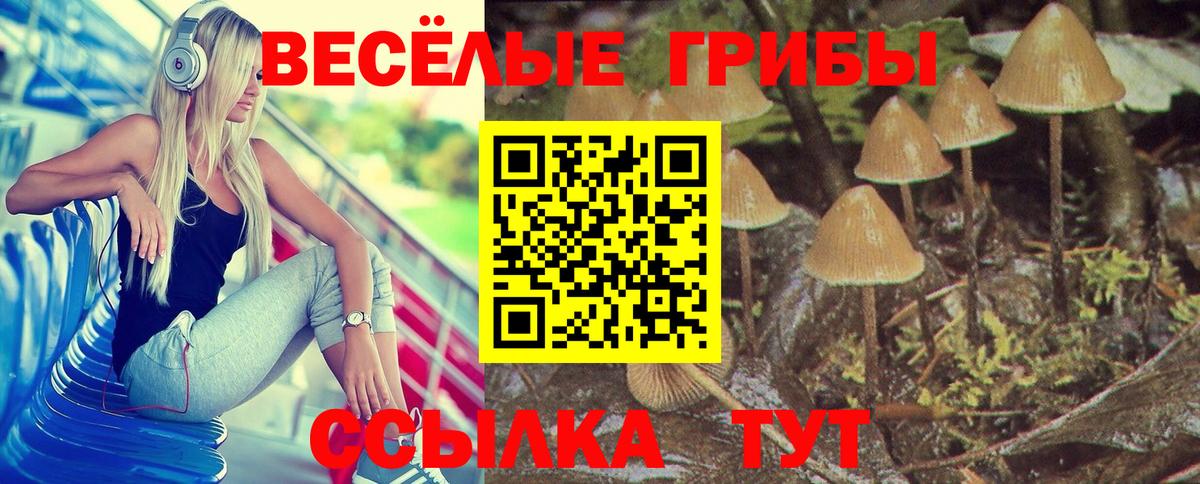 Псилоцибиновые грибы GOLDEN TEACHER Усть-Илимск
